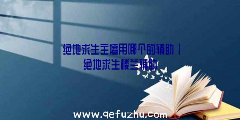 「绝地求生主播用哪个的辅助」|绝地求生楼兰辅助